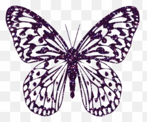 Decorative Butterfly Png Clipart Image - Clipart Butterfly Png Pink,Purple Butterfly Png