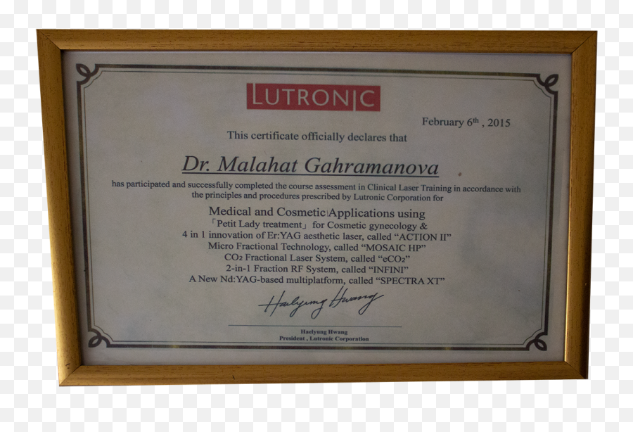 Melahat Gahramanova Certificate 5 - Picture Frame Png,Certificate Frame Png
