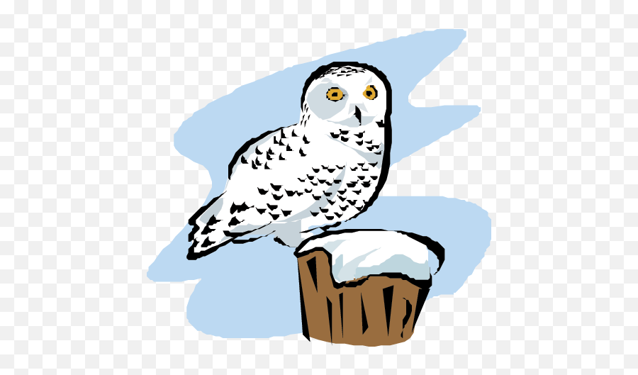 Download Snowy Owl - Snowy Owls Cartoon Transparent Png Snowy Owl,Owl Transparent