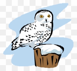 Download Snowy Owl - Snowy Owls Cartoon Transparent Png Snowy Owl,Owl Transparent