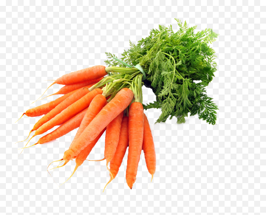 Carrot Png Image Transparent - Carrots Png,Carrot Png