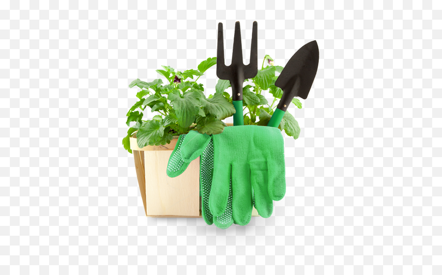 Garden Tools Png Transparent - Transparent Garden Tools Png,Gardening Png