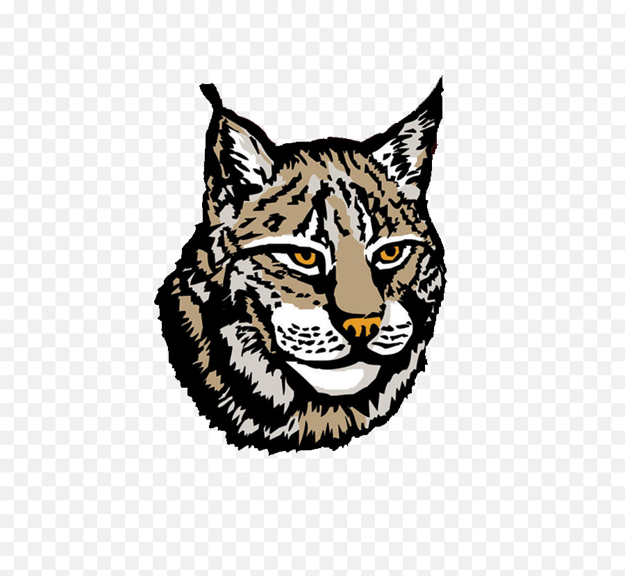 Download Lynx Png Image - Lynx Png,Lynx Png