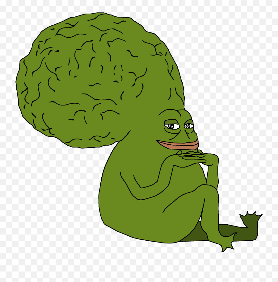 Pepe The Frog 4chan Know Your Meme Pol - 4chan Pepe Big Brain Pepe Png,Pepe The Frog Png