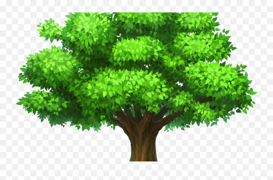 Download Oak Tree Image Royalty Free Png Techflourish - Tree Transparent Background Clipart,Trees Background Png