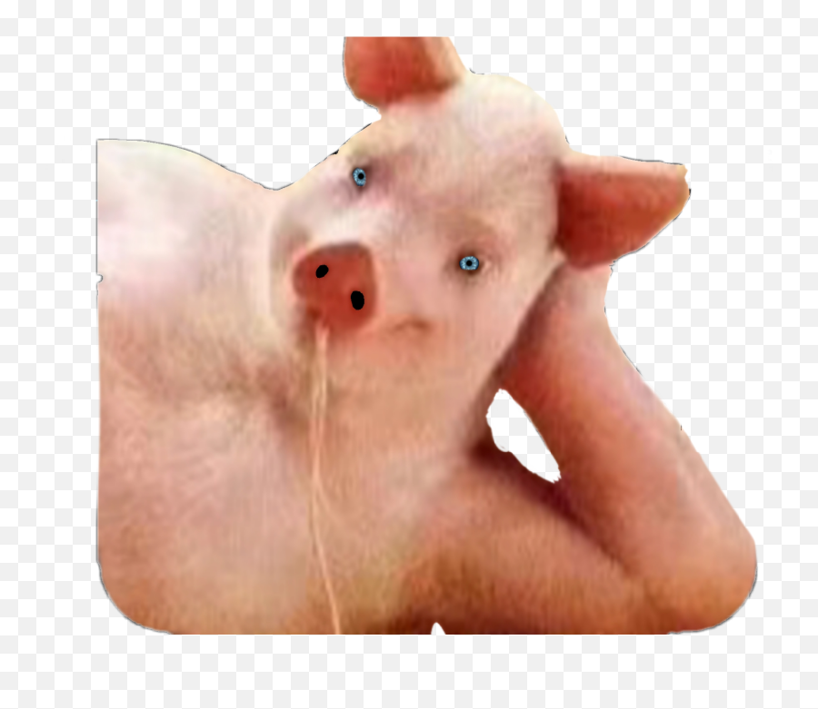 Porky Pig Bacon Ham Sticker By Skinny Sweaty Man Png