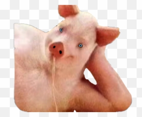 Porky Pig Bacon Ham Sticker By Skinny Sweaty Man Png