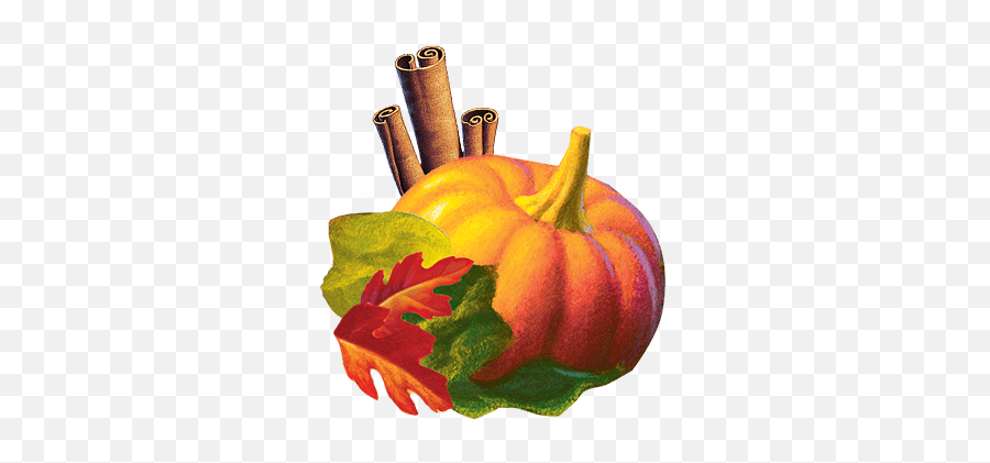 Holiday Sweet Harvest Pumpkin Celestial Seasonings - Gourd Png,Thanksgiving Pumpkin Png