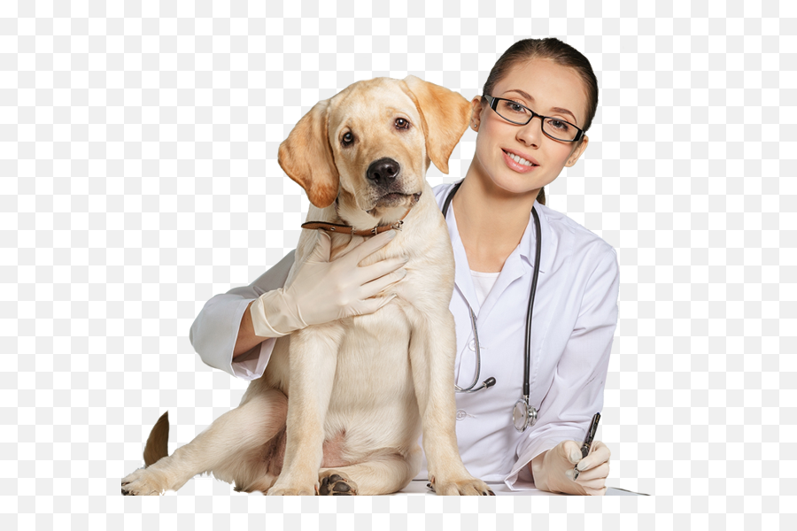 Veterinarian Png 4 Image - Transparent Veterinarian Png,Veterinarian Png