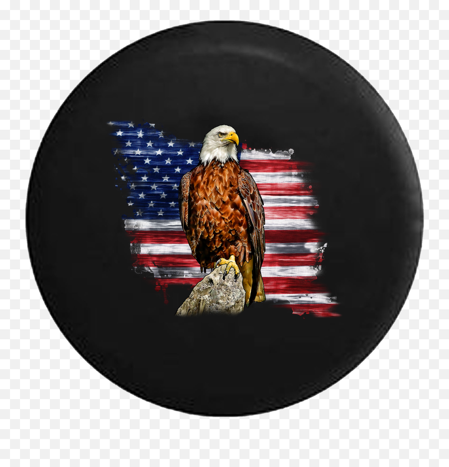 Rustic Vintage American Flag Bald Eagle - American Flag With Bald Egal Png,American Flag Eagle Png