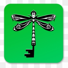 Download My App - Dragonfly png