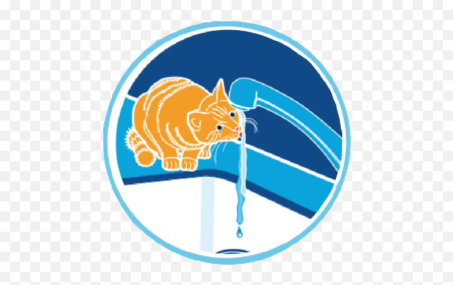 Drinkwell Pet Fountains For Dogs - Cat Water Icon Png,Drinking Fountain Icon