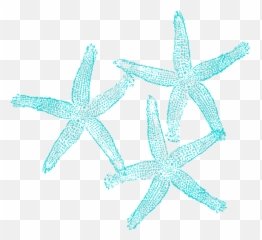 Download Starfish Clip Art - Coral Clipart Transparent Background Coral Clipart Png,Starfish Transparent