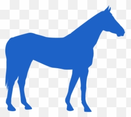 Horse Icon Png - Horse Icon Clinic Of Large Animal Horseicon