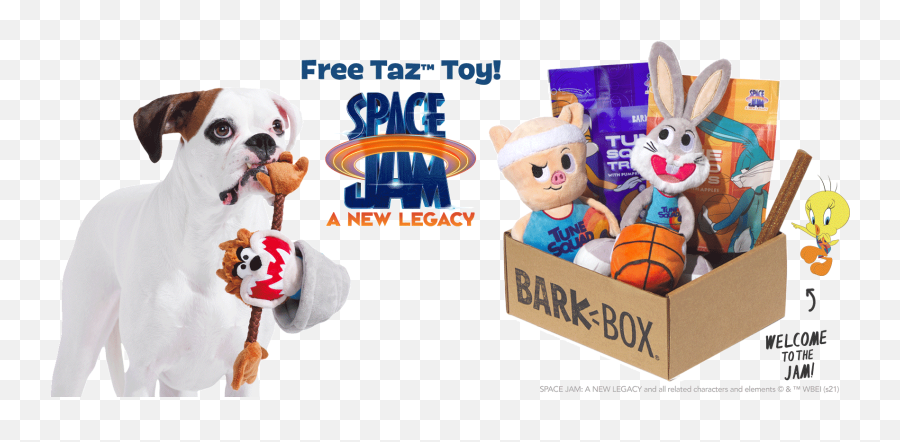 Barkbox Deal Free Taz Toy With Space Jam Box - Hello Space Jam Dog Toys Png,Bugs Bunny Icon