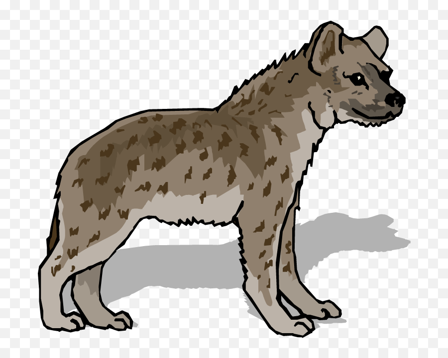Hyena Art Png Photo