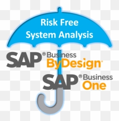 Support And Consulting For Sap Business Bydesign Png Risk Free Icon
