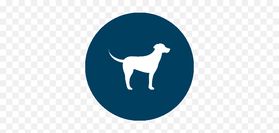 Boxer Puppies - Pets N Pals Staunton Va Png,Boxer Dog Icon