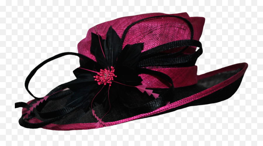 Fancy Hat Png Image 246587 - Png Images Pngio Fancy Hat Png,Nurse Hat Png