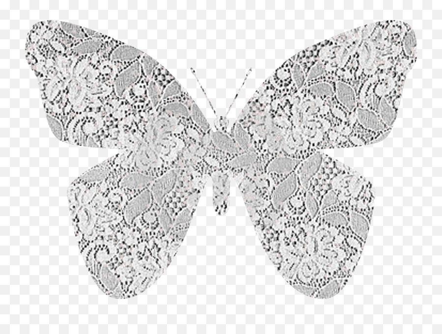 Scrappin With Jo Ann Free Lace Butterfly - Butterfly Lace Png,Butterflies Transparent Background