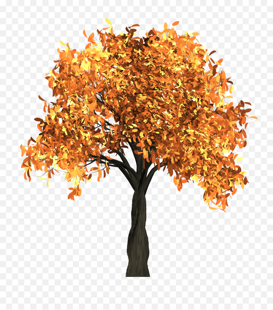 Download Autumn Free Png Transparent Image And Clipart - Autumn Tree Png,Gold Leaf Png
