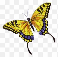 Beautiful Yellow Butterfly Tattoo With - Yellow Butterfly Tattoo Designs Png,Purple Butterfly Png