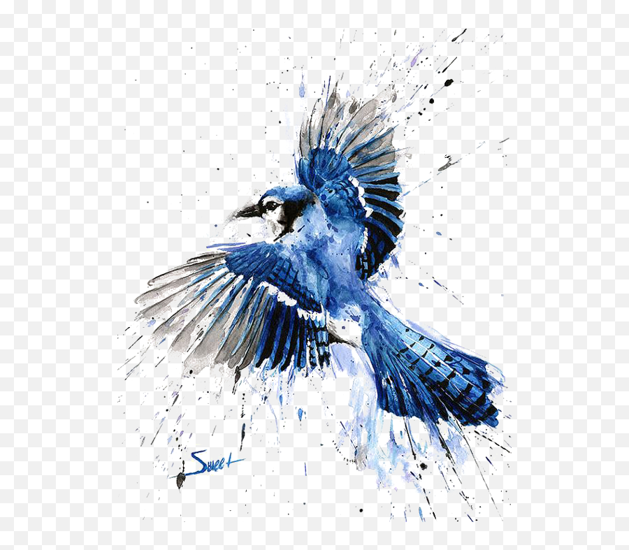 Blue Jay Watercolor Painting - Blue Jay Painting Png,Sparrow Png