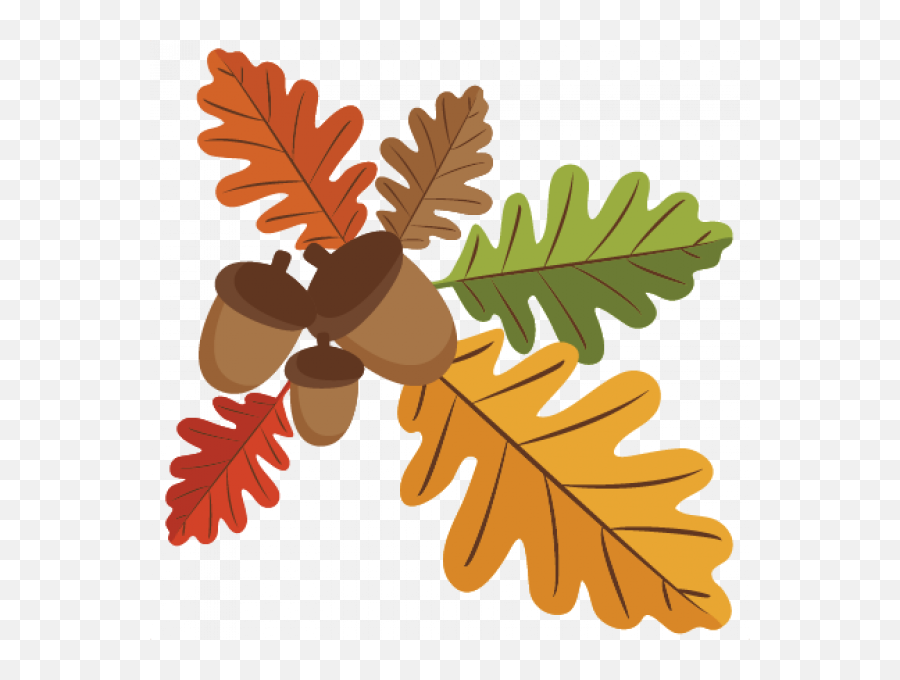 Clipart Acorn Leaves - Oak Leaves Clip Art Png,Acorn Transparent Background