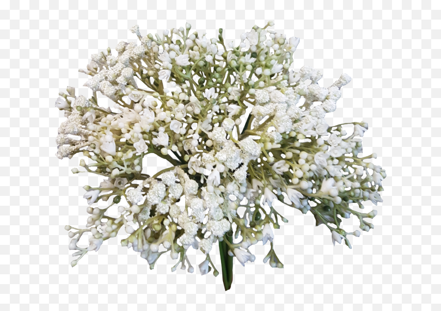 Baby Breath Png 5 Image - Transparent Background Baby Breath Png,Baby's Breath Png