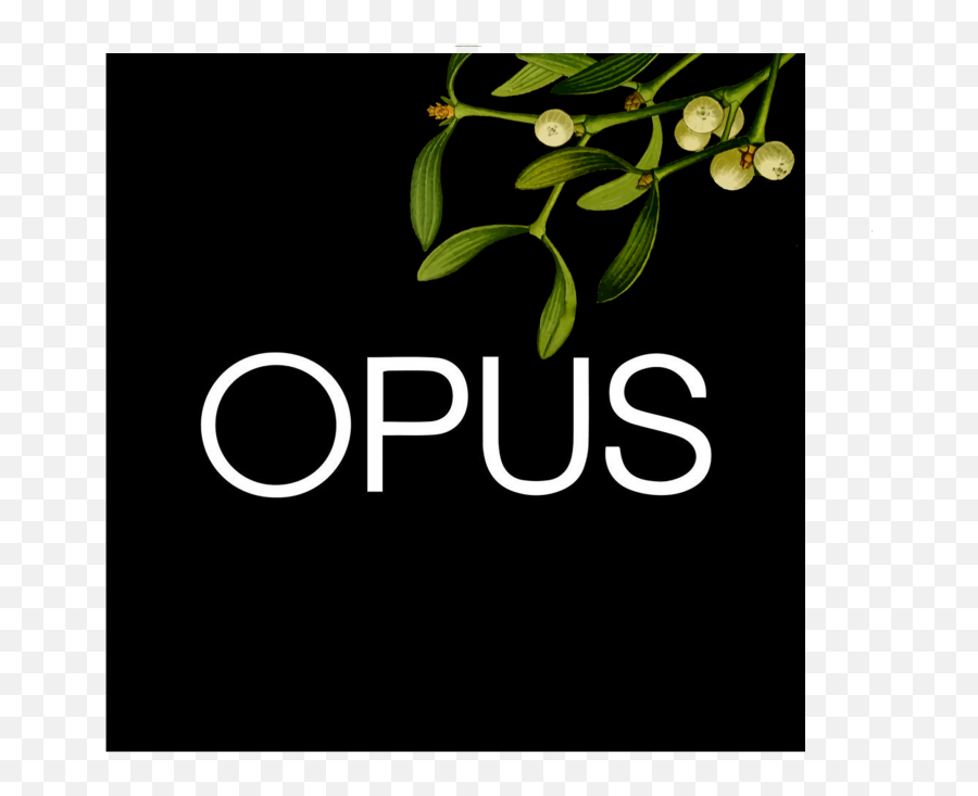 Opus Christmas Logo - Graphic Design Png,Christmas Logo Png