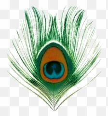 Peacock Transparent Images - Xtc Apple Venus Volume 1 Png,Peacock Png