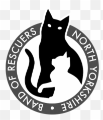 Dedicated To The Rescue Rehabilitation And - homing of Woodford Reserve png