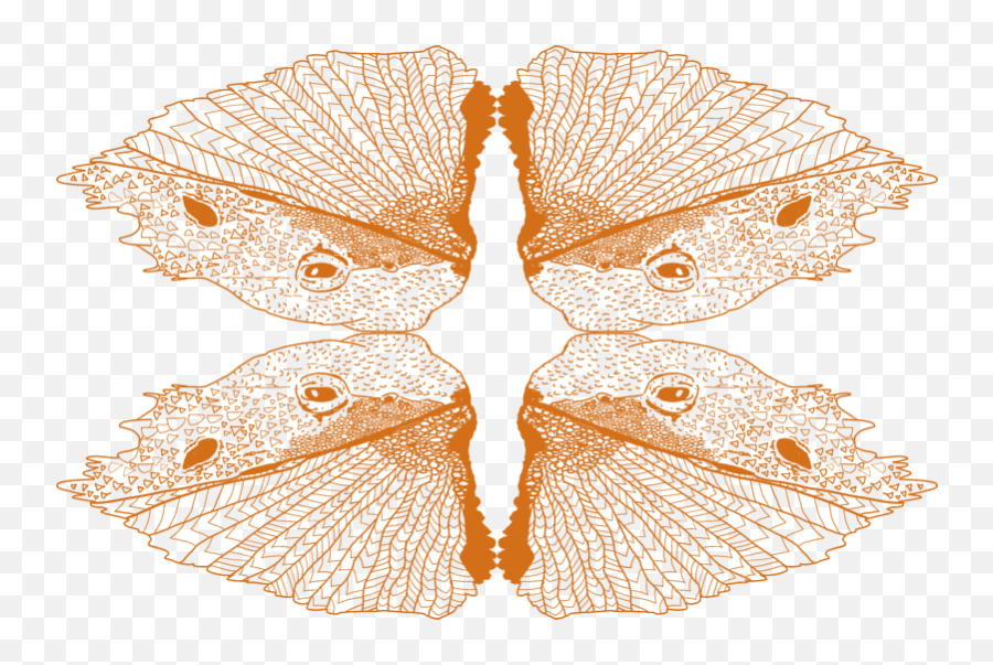 Bearded Dragon Png - Butterfly,Bearded Dragon Png