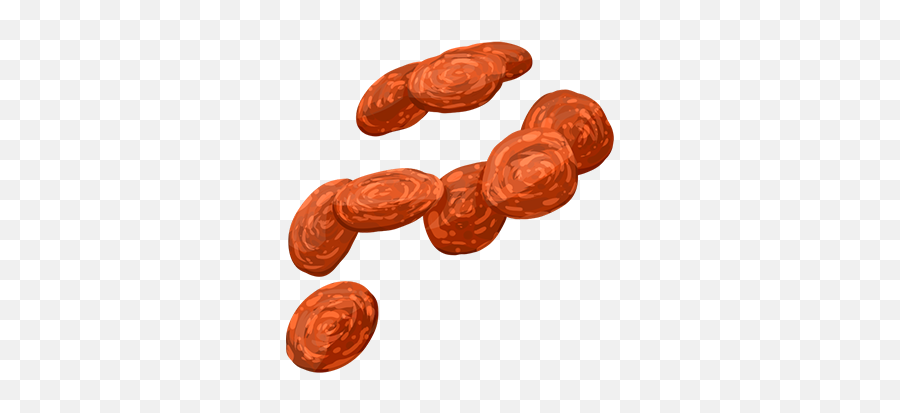 Pepperoni Png Image - Pepperoni Png,Pepperoni Png