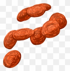Pepperoni Png Image