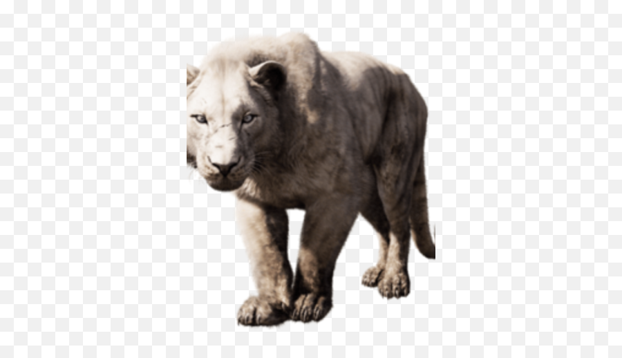 Cave Lion Fallout Fanon Wiki Fandom - Fallout Mountain Lion Png,Lion Png Transparent