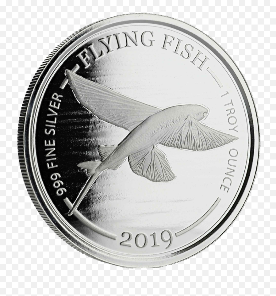 Flying Fish - 1 Oz Emkcom Flying Fish Png,Flying Money Png