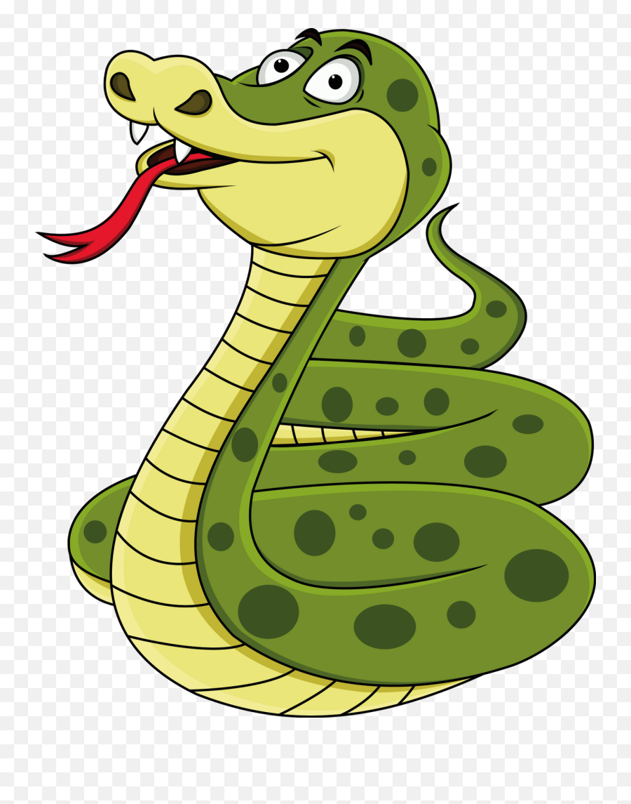 Cartoon Snake Png 4 Image - Snake Clipart Png,Cartoon Snake Png