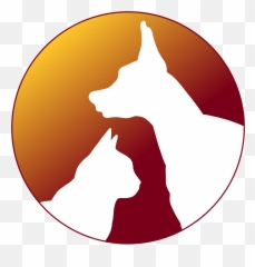 Dentistry - West Ham Station Png,Aniami Teeth Icon