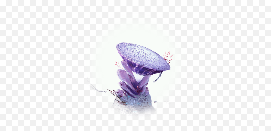 Shadow Poison Mushroom - Bdo Codex Bdo Shadow Poison Mushroom Png,Mushrooms Icon