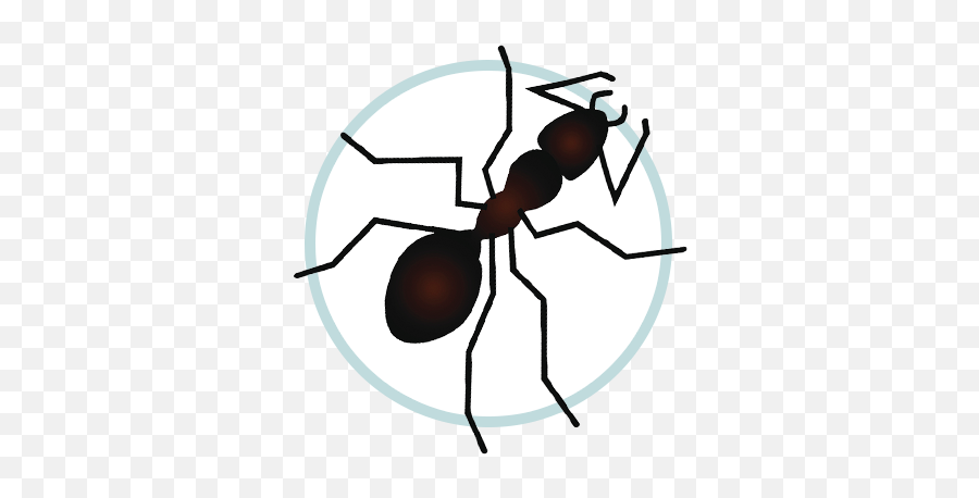 Pest Control Eastern Ct Termites Mosquitoes Carpenter Png Carptener Icon