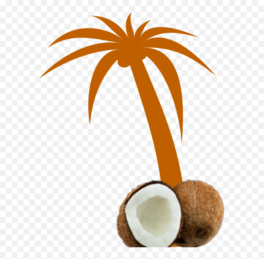Mq Orange Palmtree Palm Coconut - Palm Tree Clip Art Png Palm Tree Clip Art,Palm Tree Clip Art Png