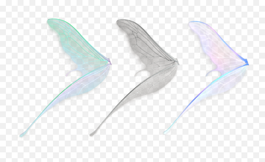 Free Download Fairy Wings Png Images 36482 - Free Icons And Fish,Wings Png