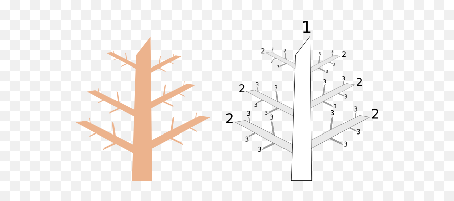 Tree Basics - Tree Branch Levels Png,Tree Branch Icon