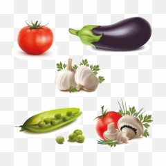 Kitchen Fresh Farm Transparent Vegetables Digital Clip Art - Vegetables Background Hd Png,Eggplant Transparent
