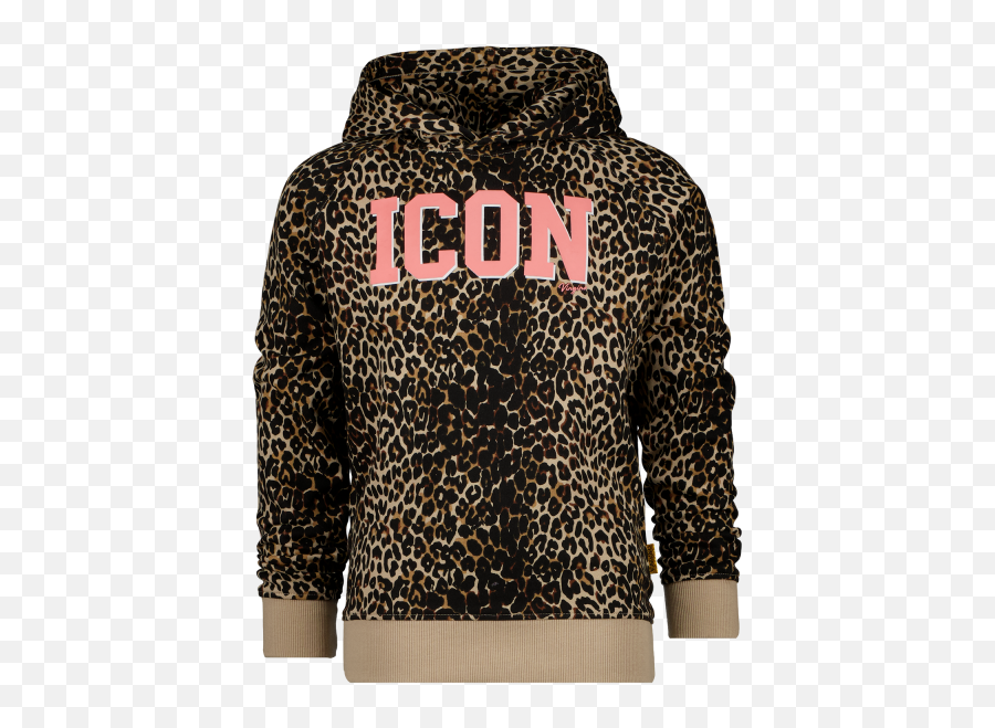 Hoody Ninassa - Sweater Png,Icon Hoody