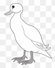 Duck Clipart Free Download Transparent Png Creazilla - Art,Duck Icon Png