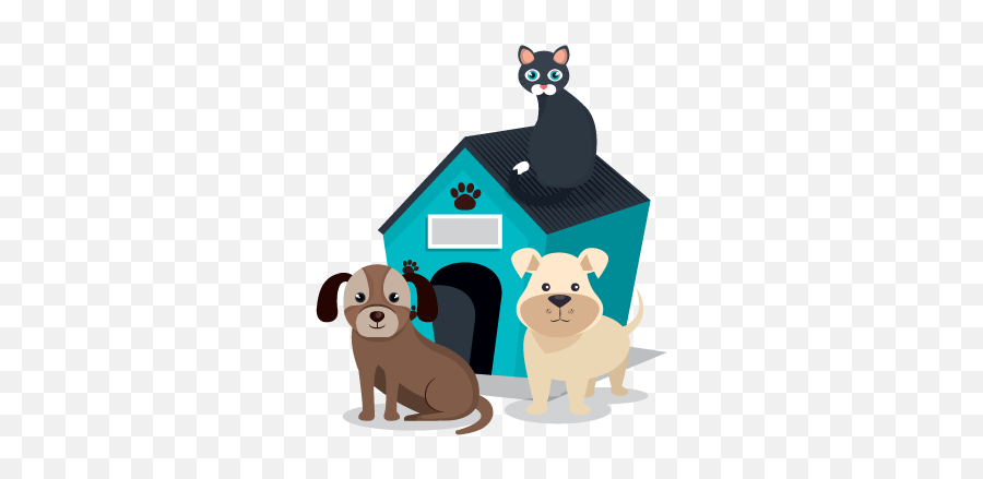 Home - Midwest Pet Wholesale Png,Dog And Cat Icon