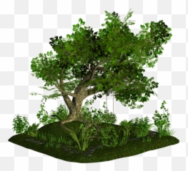 Bonsai Tree Flowerpot - Others Png Download 600554 Free Bonsai,Bonsai Tree Png