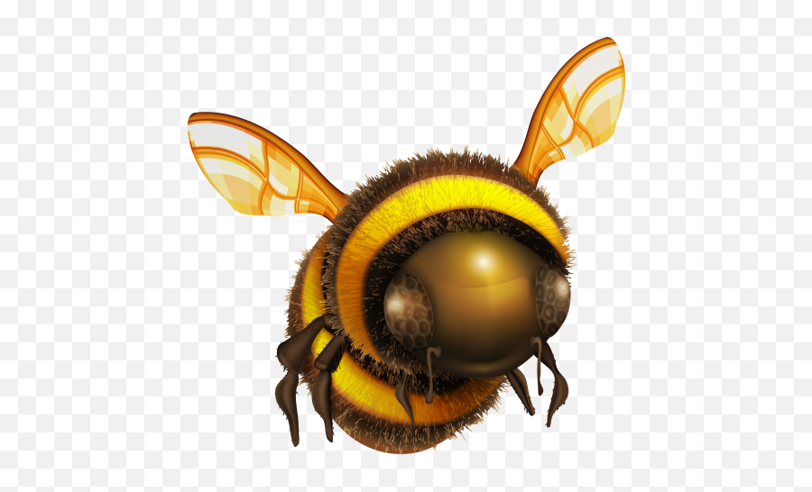 Pin By Debra - Lee On Clip Art Clip Art Bee Insects Clipart Transparent Bee Png,Bumblebee Png